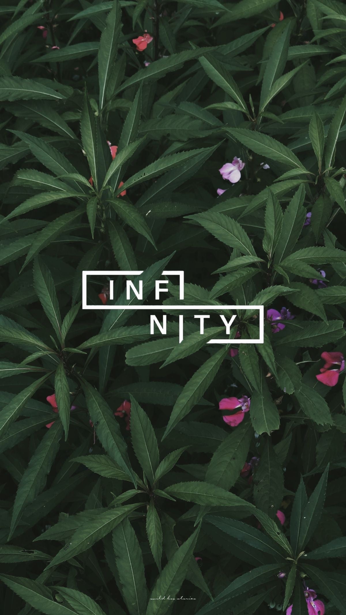 Infinity Flowers