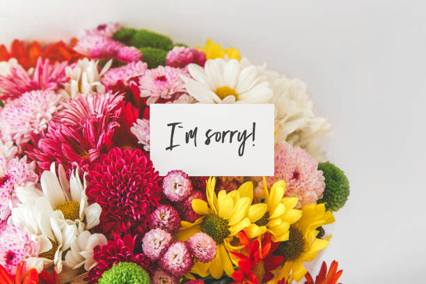 I'm Sorry
