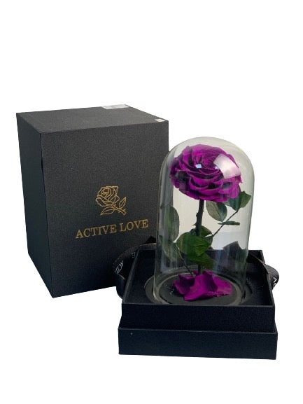 Special Purple Infinity Rose in a Dome
