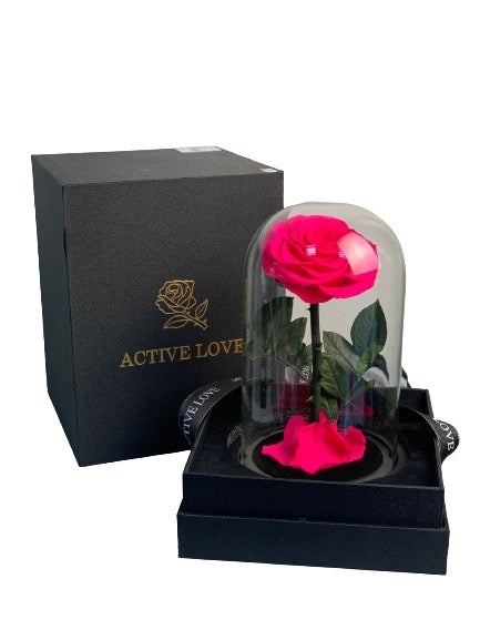 Special Arusha Infinity Rose in a Dome