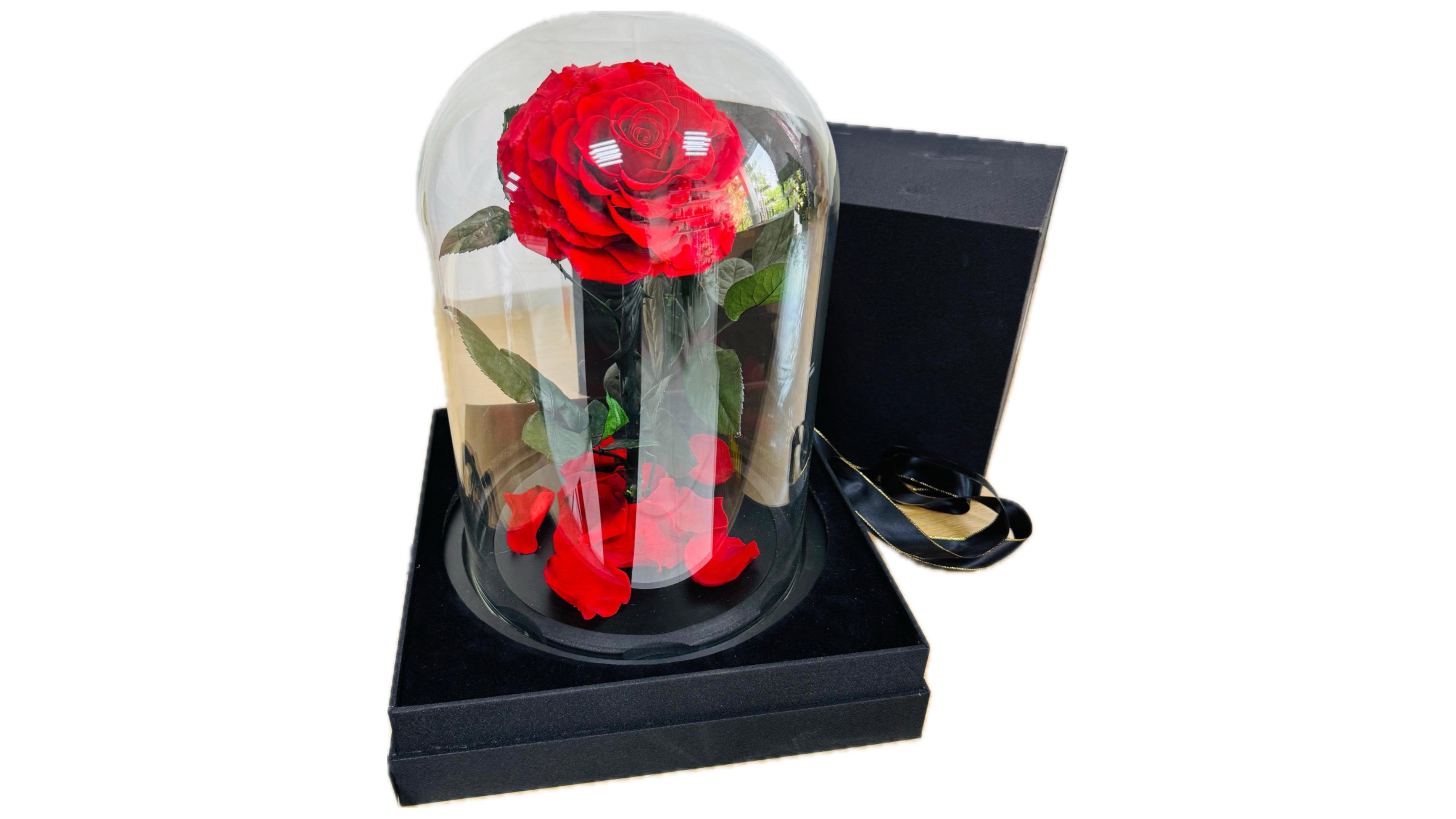 The Royal Rose