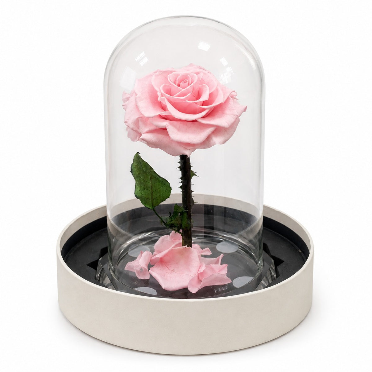 Pink Infinity Medium