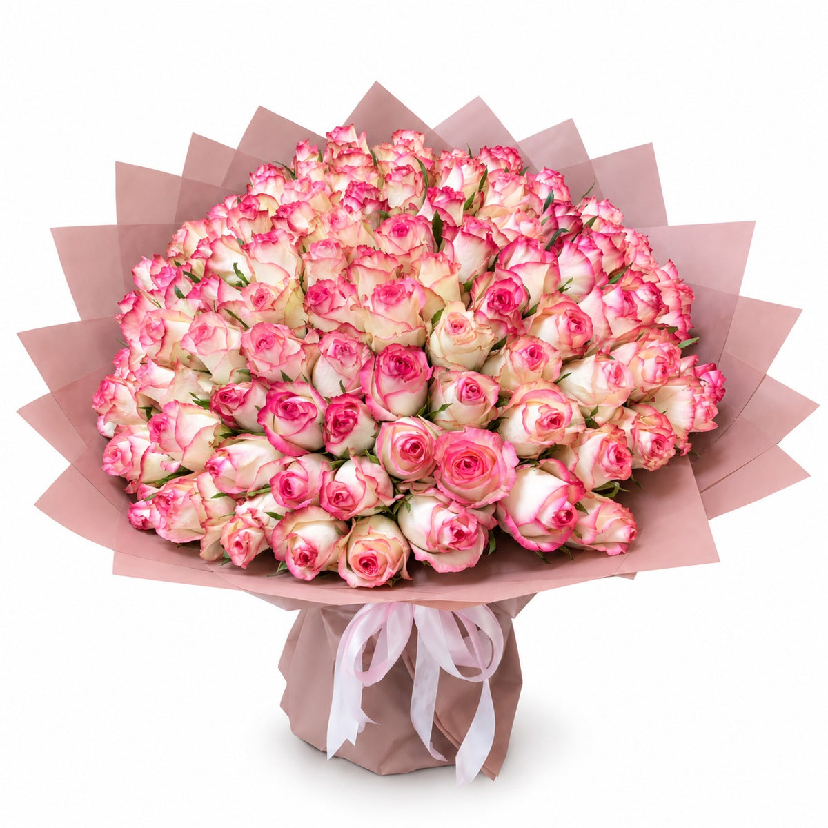 100 Pink Roses