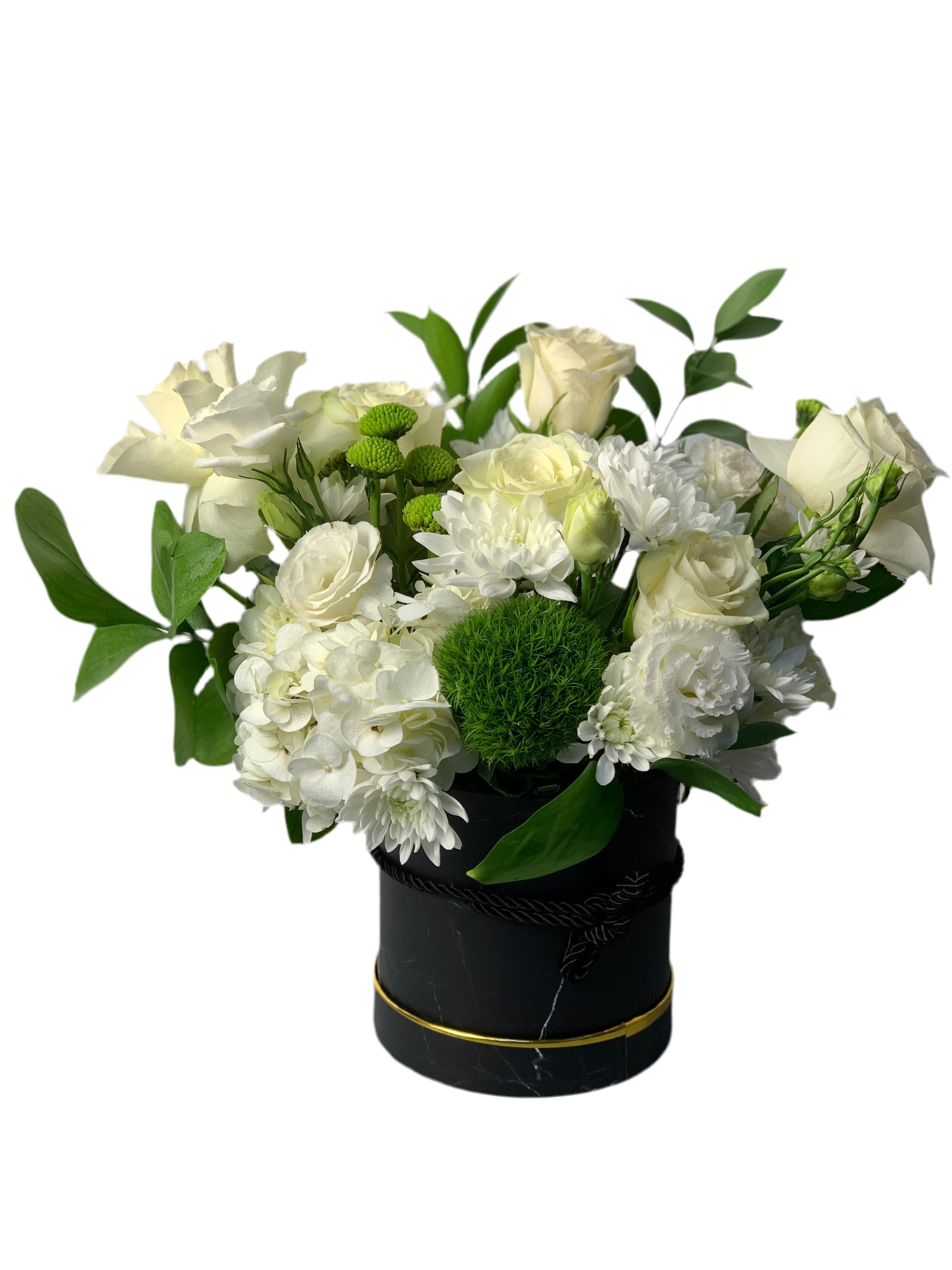 White Harmony